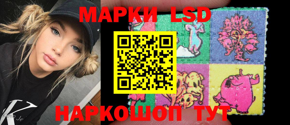 Наркотические марки  Марки N-bome 1,5мг  Вход с VPN  где продают наркотики  Камышлов 