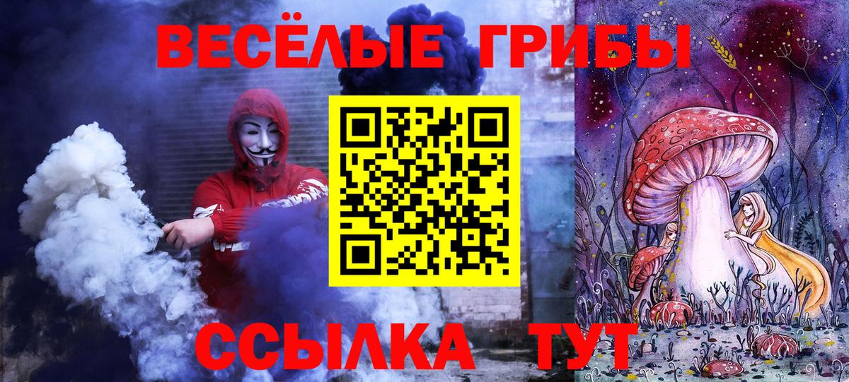 Галлюциногенные грибы прущие грибы Камышлов