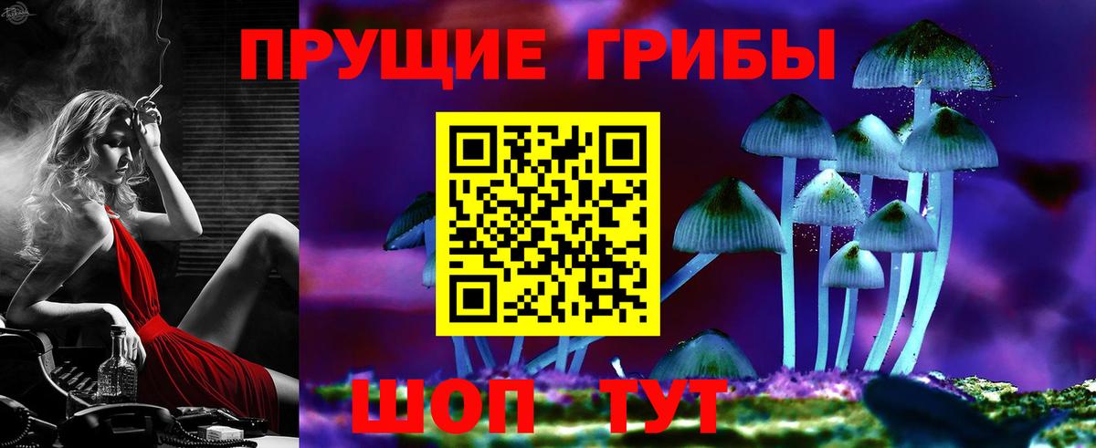 Псилоцибиновые грибы Cubensis  Вход с VPN  сколько стоит  Камышлов 