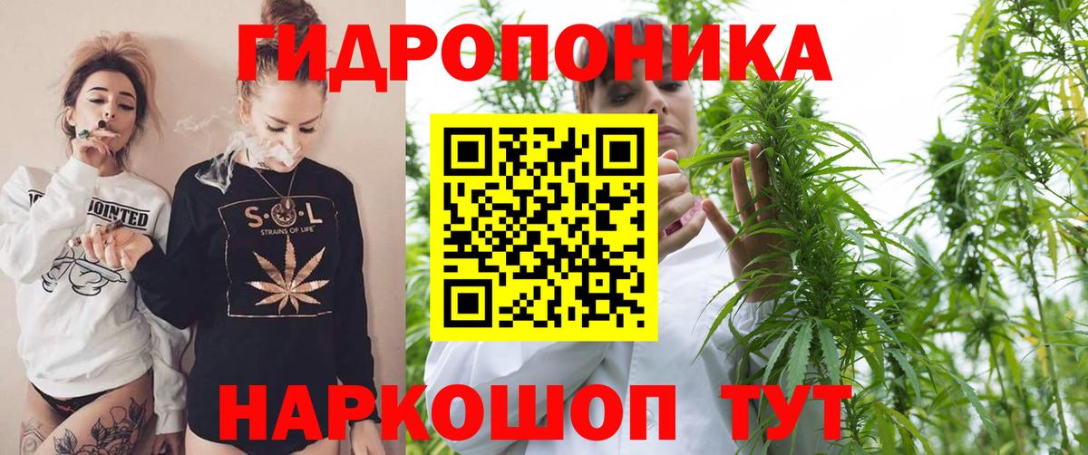 Канабис MAZAR  Шишки марихуана марихуана  Камышлов  МАРИХУАНА конопля  Вход с VPN 
